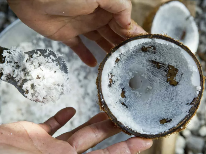 Cuisine ton poisson cru au lait de coco