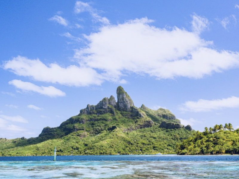 Eco-tour sur le lagon de Bora Bora | snorkeling & découverte des jardins de corail